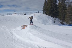 J_20240214_120043.jpg_compressed