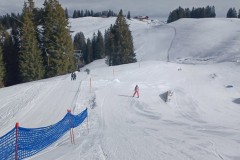 J_20240214_120658.jpg_compressed