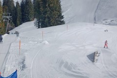 J_20240214_120700.jpg_compressed