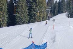 J_20240214_120806.jpg_compressed