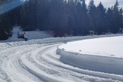 J_20240214_140936.jpg_compressed