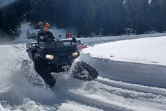 J_20240214_141000.jpg_compressed