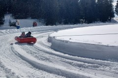 J_20240214_141001.jpg_compressed