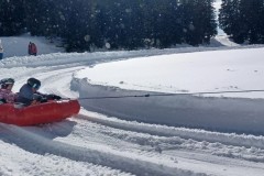 J_20240214_141002.jpg_compressed