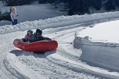 J_20240214_141036.jpg_compressed