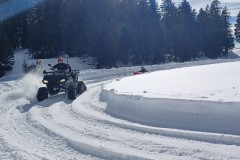 J_20240214_141544.jpg_compressed