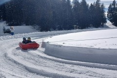 J_20240214_141547.jpg_compressed