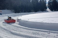 J_20240214_141650.jpg_compressed