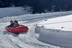 J_20240214_141726.jpg_compressed