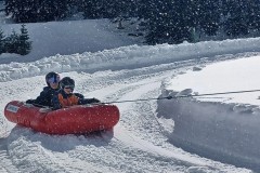 J_20240214_141831.jpg_compressed