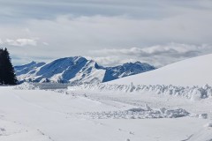 J_20240214_141846.jpg_compressed