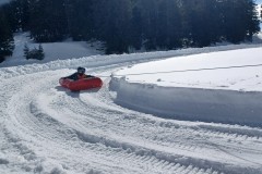 J_20240214_141907.jpg_compressed