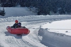 J_20240214_142011.jpg_compressed