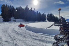 J_20240214_142414.jpg_compressed