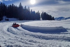 J_20240214_144237.jpg_compressed