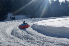 J_20240214_144637.jpg_compressed