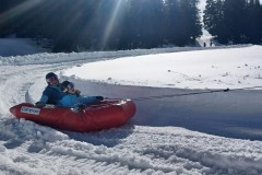 J_20240214_144717.jpg_compressed