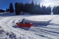 J_20240214_145036.jpg_compressed