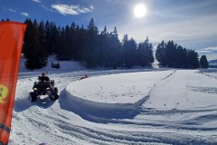 J_20240214_145223.jpg_compressed