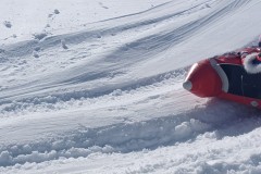 J_20240214_145227.jpg_compressed