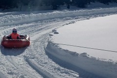 J_20240214_145303.jpg_compressed