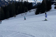 Marvin_IMG_3483.jpeg_compressed