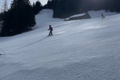 Marvin_IMG_3488.jpeg_compressed