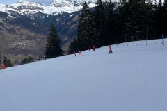 Marvin_IMG_3489.jpeg_compressed