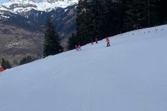 Marvin_IMG_3490.jpeg_compressed