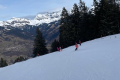 Marvin_IMG_3491.jpeg_compressed