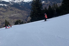 Marvin_IMG_3493.jpeg_compressed