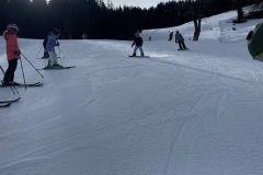 Marvin_IMG_3499.jpeg_compressed