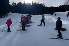 Marvin_IMG_3501.jpeg_compressed