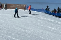 Marvin_IMG_3508.jpeg_compressed