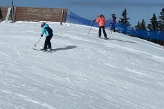 Marvin_IMG_3509.jpeg_compressed