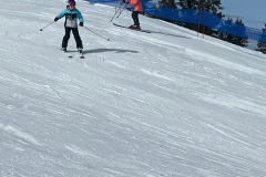 Marvin_IMG_3510.jpeg_compressed