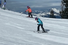 Marvin_IMG_3512.jpeg_compressed