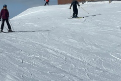 Marvin_IMG_3513.jpeg_compressed