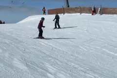 Marvin_IMG_3514.jpeg_compressed