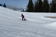 Marvin_IMG_3515.jpeg_compressed