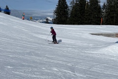 Marvin_IMG_3516.jpeg_compressed