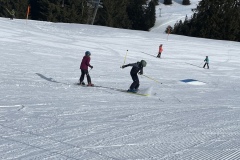 Marvin_IMG_3520.jpeg_compressed