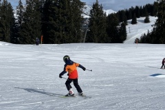 Marvin_IMG_3521.jpeg_compressed