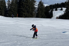 Marvin_IMG_3522.jpeg_compressed