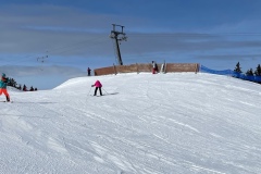 Marvin_IMG_3524.jpeg_compressed