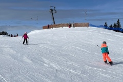 Marvin_IMG_3527.jpeg_compressed