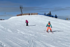 Marvin_IMG_3530.jpeg_compressed