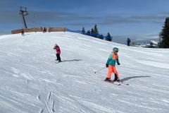 Marvin_IMG_3531.jpeg_compressed