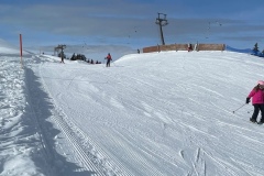 Marvin_IMG_3532.jpeg_compressed