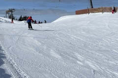 Marvin_IMG_3533.jpeg_compressed